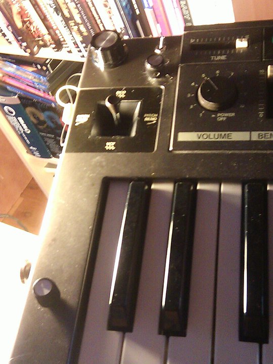 Ergonomic Moog Slayer, 12/24dB, FM-800